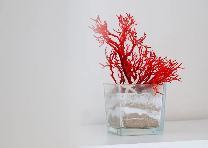 Punta Stilo 住宿加早餐酒店 托雷圣乔万尼乌